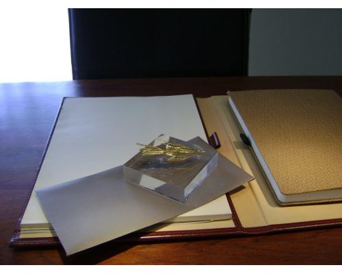 Olive Branch Paperweight or Presse Papier - Real Natural Plant - 24 Karat Gold Plated on Plexiglass, 8x8cm (3.1"x 3.1")