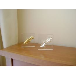 Olive Branch Paperweight or Presse Papier - Real Natural Plant - 24 Karat Gold Plated on Plexiglass, 8x8cm (3.1"x 3.1")