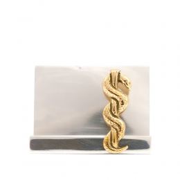 Desk Accessories Set of 2 - "Rod of Asclepius" Design, Symbol of Medicine. Handmade of Solid Metal, Business Card Holder & Pen Cup Holder