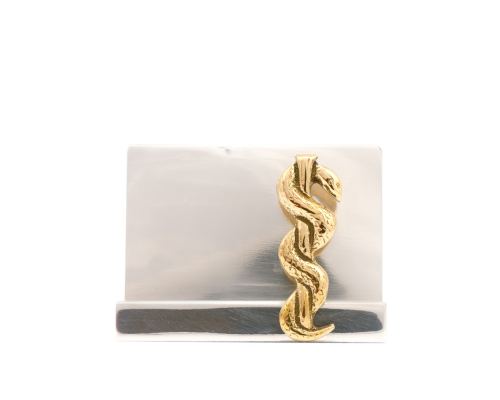 Desk Accessories Set of 2 - "Rod of Asclepius" Design, Symbol of Medicine. Handmade of Solid Metal, Business Card Holder & Pen Cup Holder