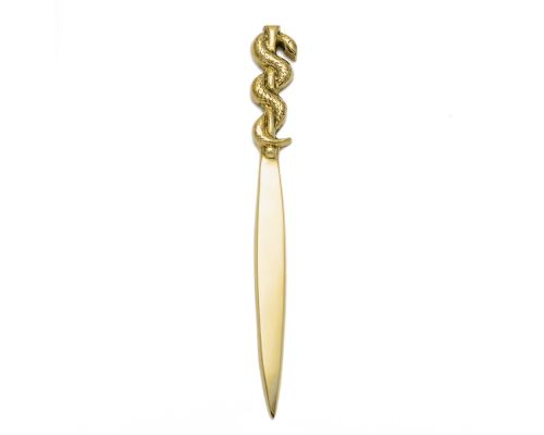 Desk Accessories Set of 2 - "Rod of Asclepius" Design, Symbol of Medicine. Handmade of Solid Metal, Letter Opener & Paperweight