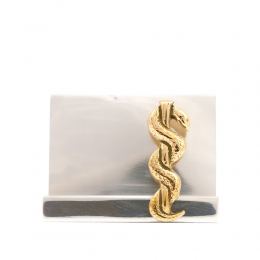 Desk Accessories Set of 2 - "Rod of Asclepius" Design, Symbol of Medicine. Handmade of Solid Metal, Paperweight & Business Card Holder