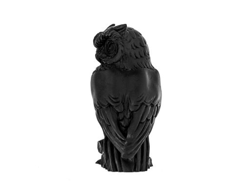 Owl of Minerva or Owl of Goddess Athena Statue, 16cm Black Color 4