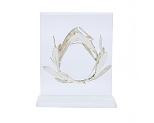 Olive Wreath - Real Natural Plant - Handmade 925 Sterling Silver Plated on Plexiglass - Decor Ornament 